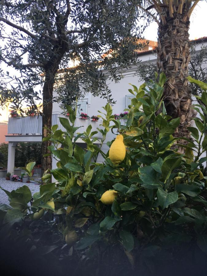 Guesthouse Villa Jung Bordighera Exterior photo